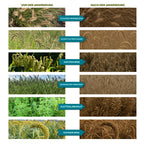 41% Glyphosat Konzentrat – Leistungsstarke Unkrautkontrolle