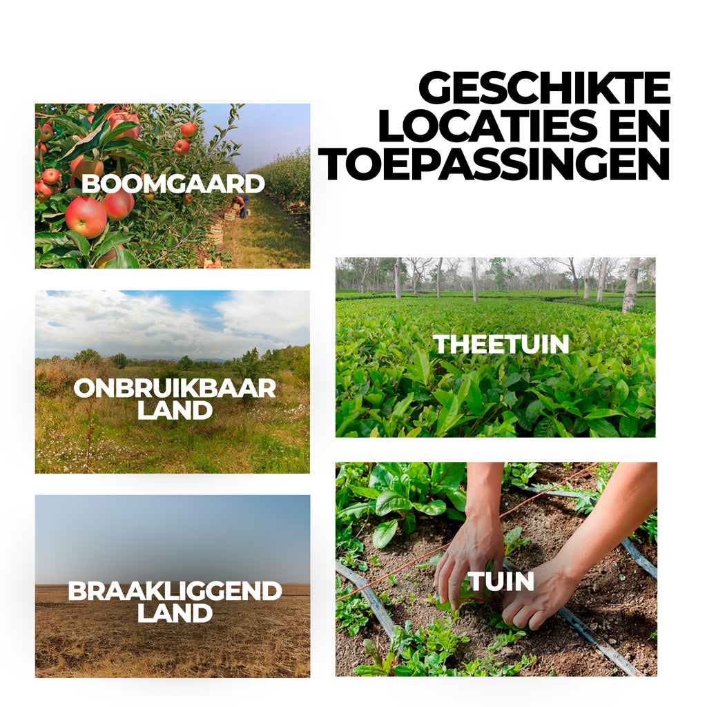 Glyphosaat Herbicide met Hoge Concentratie – Effectieve Onkruidbestrijder