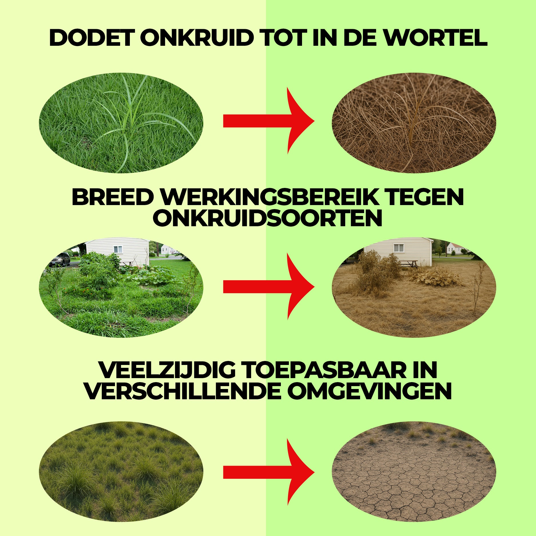 41% Glyphosaat Concentraat – Effectieve en Krachtige Onkruidverdelger